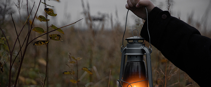 Lantern in a spooky field
