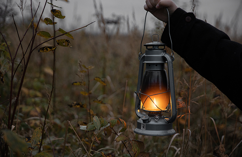 Lantern in a spooky field