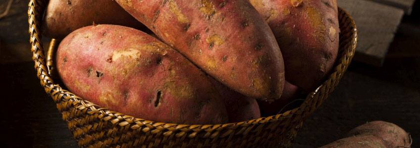 A basket full of sweet potatoes