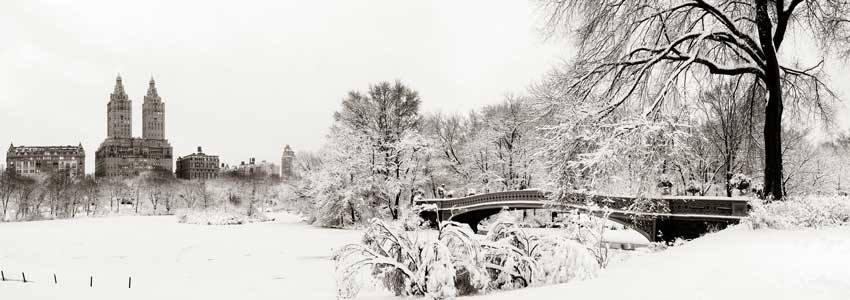 Central Park in New York in winter